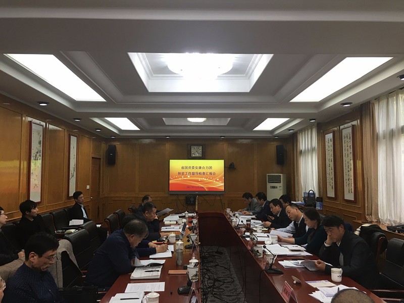 陕西跳高高试玩集团加入省国资委安康协力团扶贫事情督导检查汇报会