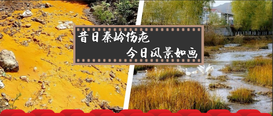 昔日秦岭伤疤 今日景物如画——陕西跳高高试玩集团黄龙河流域污染治理侧记