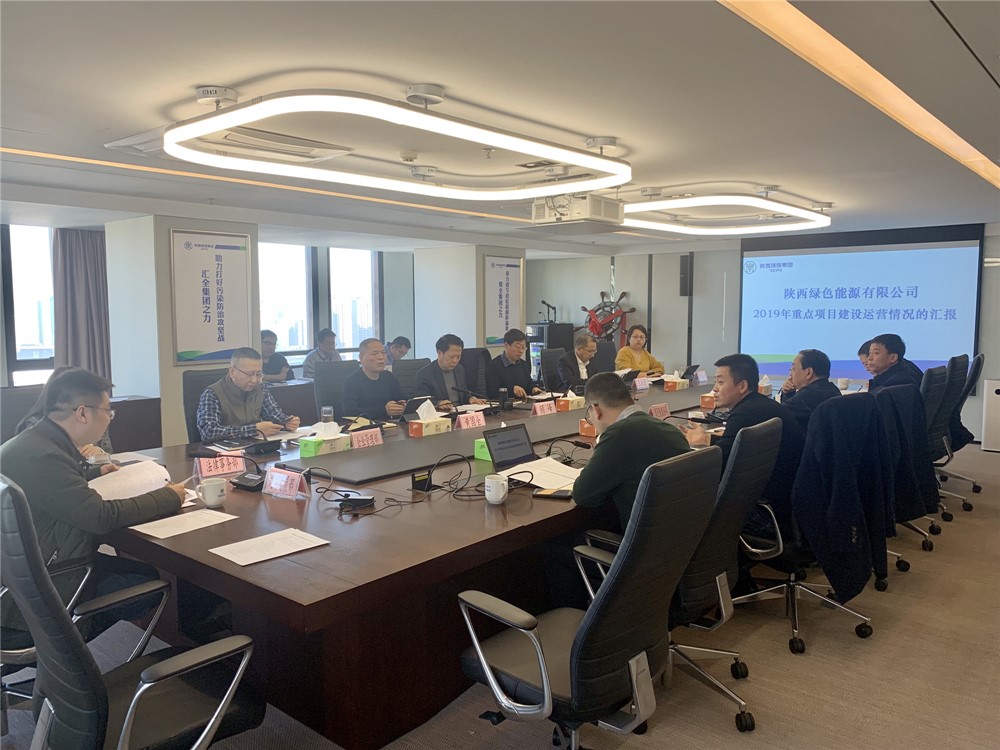 顾峰听取绿色能源公司重点项目建设运营情形汇报