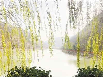 中国情形报：守护三秦大地绿水青山——陕西跳高高试玩集团建设以来，，，，，，成为陕西污染防治的排头兵