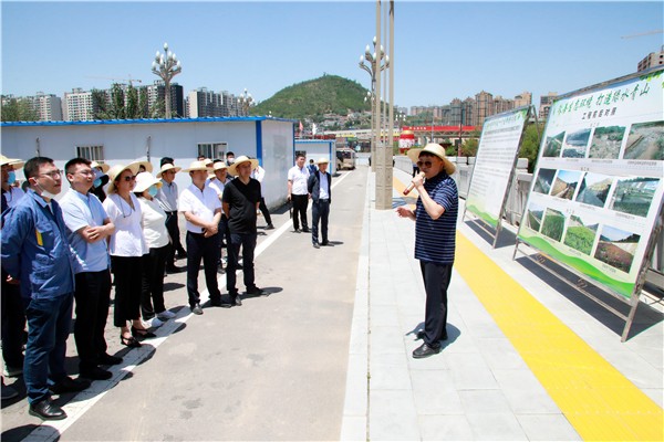 陕西跳高高试玩集团复工复产促增添项目观摩聚会与会职员走进跳高高试玩保隆生态三秦在延在铜项目