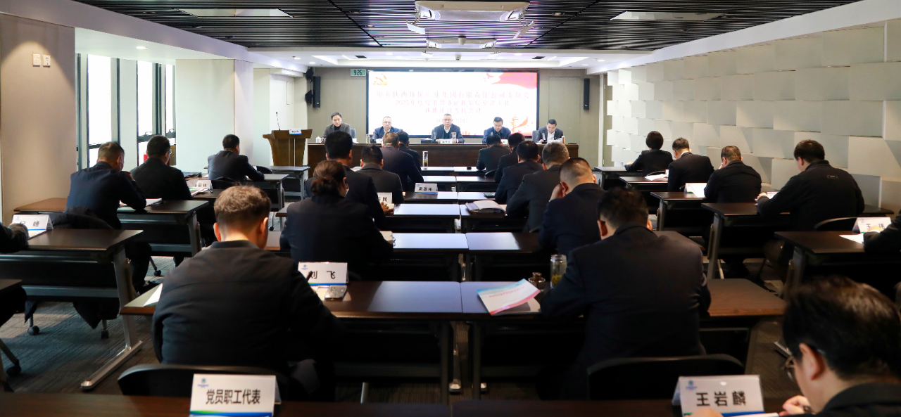 陕西跳高高试玩集团党委召开2025年度党组织书记抓下层党建事情述职评议审核聚会